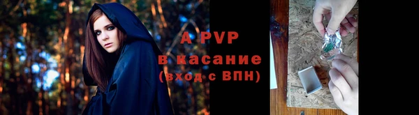 гашик Белокуриха