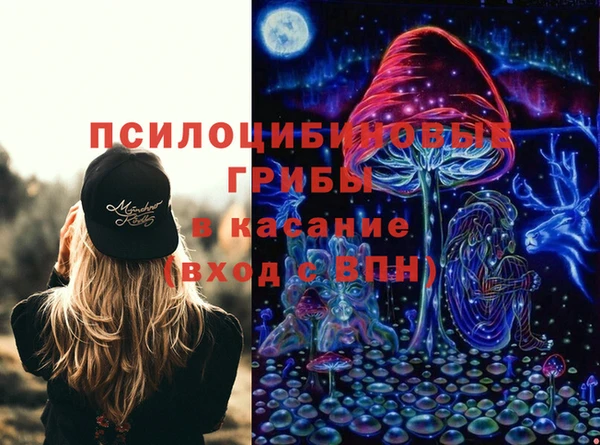 прущие крисы Богданович